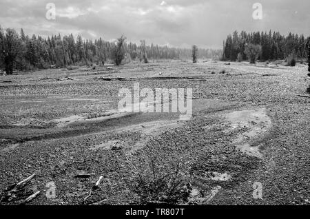 Trockenes Flussbett von Pilgrim Creek im Teton National Park im US-Bundesstaat Wyoming Stockfoto