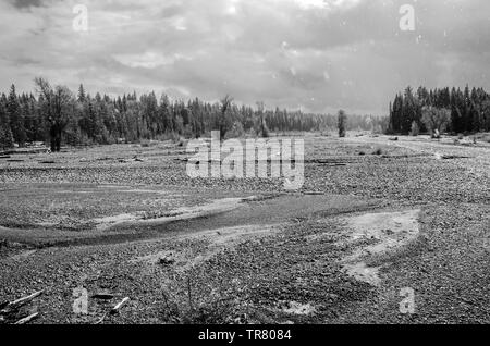 Trockenes Flussbett von Pilgrim Creek im Teton National Park im US-Bundesstaat Wyoming Stockfoto