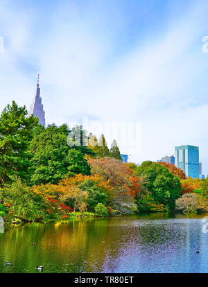 Blick auf den schönen Garten mit bunten Bäume im Herbst in Shinjuku Gyoen Garden in Tokio, Japan. Stockfoto