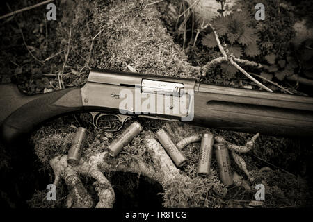 Ein 16 gauge Browning Automatic-5 Schrotflinte. Die Waffe, die auch in kleinere Kaliber 20 gemacht wurde und größere Kaliber 12, war die Erfindung des berühmten amerikanischen fi Stockfoto