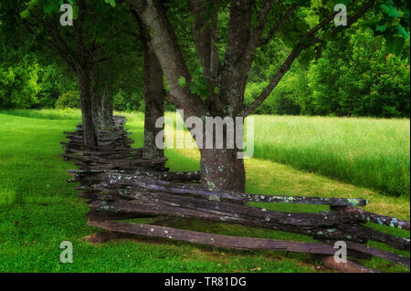 Ist ein altes Siedler homestead Land mit split Schiene Zaun und Reihe von Bäumen in Cades Cove Tal in Tennessee Great Smoky Mountains. Stockfoto