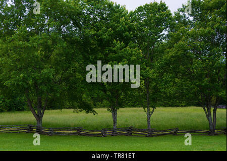 Ist ein altes Siedler homestead Land mit einer Reihe von Bäumen und split Schiene Zaun in Cades Cove Tal in Tennessee Great Smoky Mountains. Stockfoto