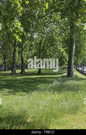 Goose Green im East Dulwich, London, UK. Ein beliebtes, geschlossenen Park zwischen Grove Vale, East Dulwich Straße und Adys Road SE 15. Stockfoto