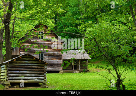 Historische Hütte auf den Siedler Templeton Homestead in Cades Cove Tal in Tennessee Great Smoky Mountains. Stockfoto