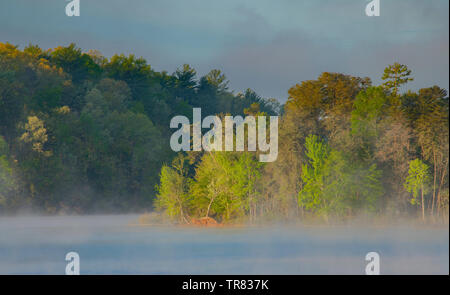 Feder, Foothills Parkway, Great Smoky Mountains Nationalpark, TN, USA, von Bill Lea/Dembinsky Foto Assoc Stockfoto