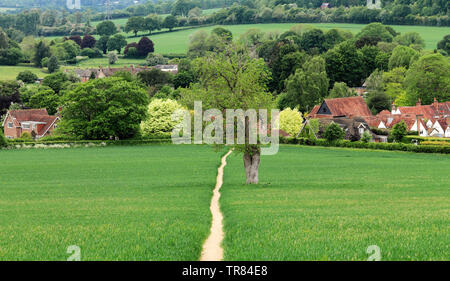 Eine englische Landschaft mit Track durch ein Feld in der Chiltern Hills, die zum Dorf Little Missenden Stockfoto