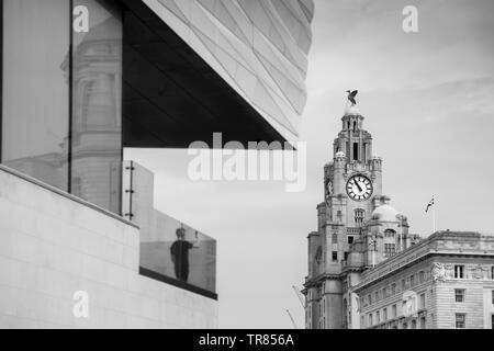 Die ikonischen Liver Building, Liverpool fotografiert in Schwarz und Weiß. Stockfoto