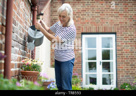 Ältere Frau, Bewässerung von Pflanzen mit Gießkanne im Garten zu Hause Stockfoto