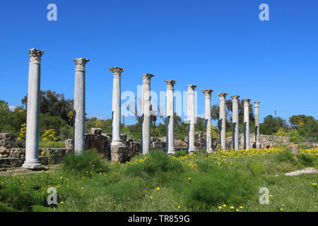 Römer Ruinen der Stadt, in der Nähe von Salamis Famagusta, Zypern Stockfoto