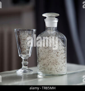 Löwenzahn Fussel in einem Glas aus Damast und Glas Stockfoto