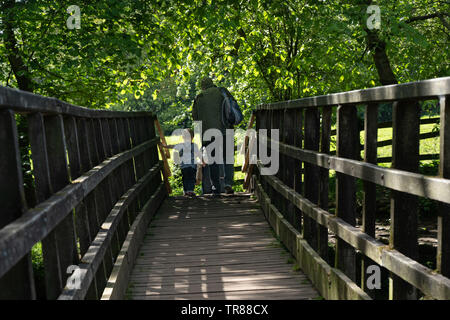 Vater und Sohn überqueren den Fluss Skell auf einer hölzernen Fußgängerbrücke, Ripon, North Yorkshire, England, Großbritannien. Stockfoto