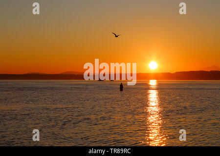 Ein Fischer ist Angeln Golden Gardens Park, Seattle, Washington bei einem herrlichen Sonnenuntergang Stockfoto