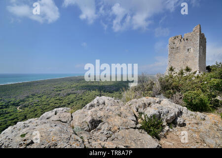 Malerischer Blick auf alten Aussichtsturm auf dem Hügel mit Blick auf die toskanische Maremma, in der Nähe der Mittelmeerküste mit ihren großen Pinienwald Stockfoto