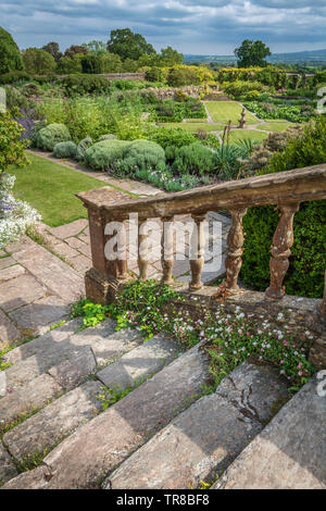 Eine der attraktiven Schritte auf der viktorianischen Terrasse am Haus und Hestercombe Gardens in der Nähe von Taunton in Somerset. Stockfoto