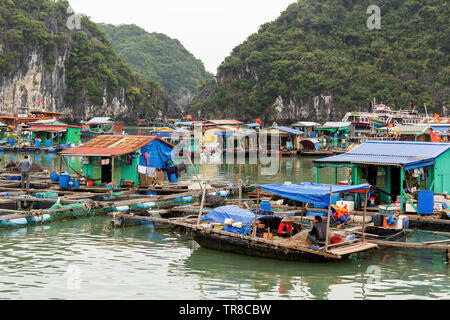 LAN HA BUCHT, VIETNAM - Februar 2019; schwimmende Fischerdorf Stockfoto