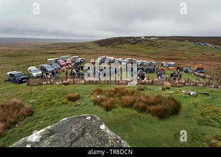 Kirkby Stephen, UK. 30 Mai, 2019. Die 66. jährliche Tan Hill Open Swaledale Schaf Show im Tan Hill Inn, in der Nähe von Kirkby Stephen, Cumbria, Großbritannien. Die jährliche Veranstaltung ist ein Schaufenster für swaledale Schafe. Die Show findet neben der Tan Hill Inn, dem höchsten Pub in Großbritannien statt. Das Inn ist isoliert auf offenen Moor auf der Yorkshire - Durham Grenze liegt. Schafhürden werden auf dem Moor neben dem Inn. Quelle: John Bentley/Alamy leben Nachrichten Stockfoto