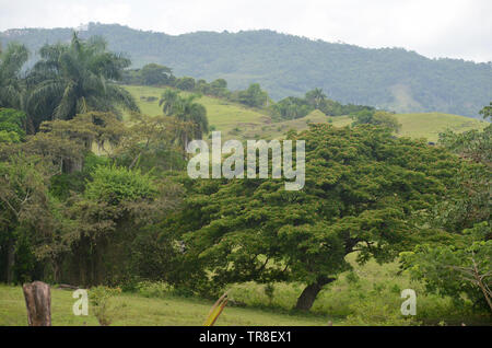 Felder und die bewaldeten Hänge in Guisa Gemeinde (Provinz Granma, Kuba), in der Nähe des Pico de la Bayamesa Nationalpark, südlichen Kuba Stockfoto