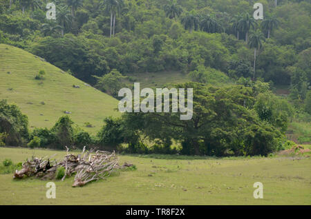 Felder und die bewaldeten Hänge in Guisa Gemeinde (Provinz Granma, Kuba), in der Nähe des Pico de la Bayamesa Nationalpark, südlichen Kuba Stockfoto