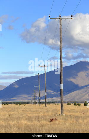 Powerlines, Mackenzie Country, Neuseeland Stockfoto