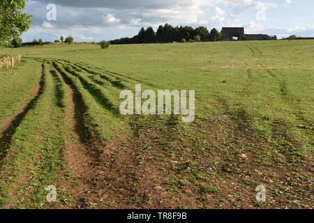 Die Themse und Severn Pfad in der Nähe von Coates in Gloucestershire. Stockfoto