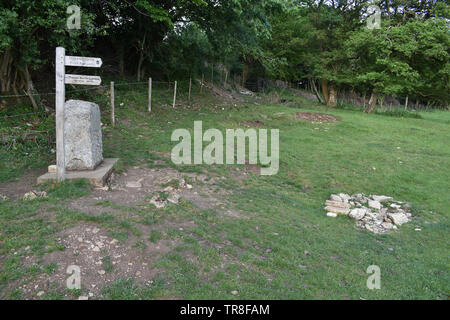 Quelle der Themse in der Nähe von Coates, Gloucestershire, VEREINIGTES KÖNIGREICH Stockfoto