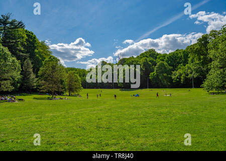 Auf der grünen Wiese, Bäume und blauer Himmel an einem sonnigen Frühlingstag Stockfoto