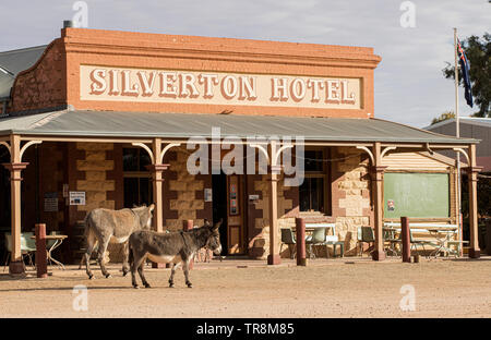 Geisterstadt Silverton im Outback von New South Wales und das Silverton Hotel mit den in der Stadt ansässigen Eseln. Stockfoto