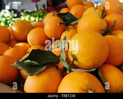 Orangen an der Theke auf dem türkischen Markt. Stockfoto