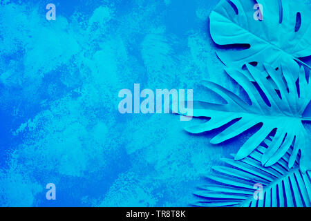 Sammlung von tropischen Blätter, Laub Anlage auf bunten Farbverlauf Malerei Hintergrund. Abstrakte leaf Dekoration Design. Exotische Natur kunst Stil. Stockfoto