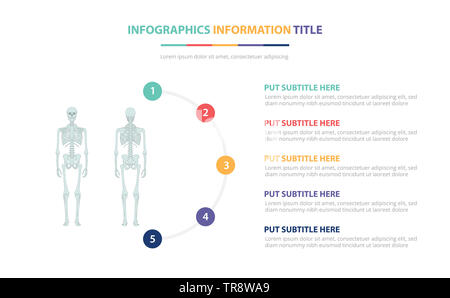 Menschliche skelett knochen Infografik Vorlage Konzept mit fünf Punkte Liste und verschiedene Farbe mit sauberen, modernen weißen Hintergrund - Vector Illustration Stockfoto