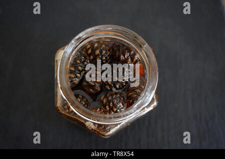 Flasche Marmelade aus Fichte auf schwarzem Hintergrund Stockfoto