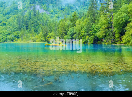 Jiuzhaigou ist ein berühmter landschaftlicher Ort in China. Es gibt dichte Wälder und Vegetation. Es gibt auch markante Seen Stockfoto