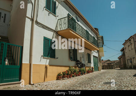 Buntes Haus Fassade mit Balkon und Blumentöpfe auf der Gasse in Belmonte. Geburtsort des Entdeckers Pedro CABRAL in Portugal. Stockfoto