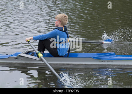 Junge rudern single Scull, rowing club Wilhelmsburg, Hamburg, Deutschland Stockfoto