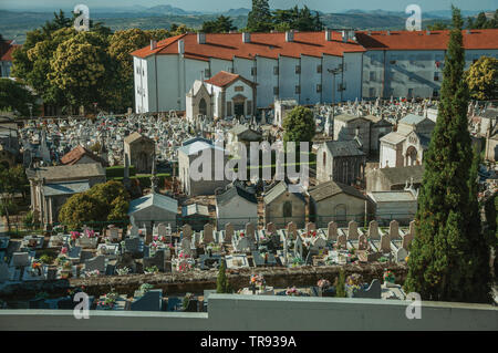 Friedhof mit Krypten und Marmor Gräber mit Blumen dekoriert, an einem sonnigen Tag in Guarda. Das gut erhaltene mittelalterliche Stadt in der östlichen Portugal. Stockfoto