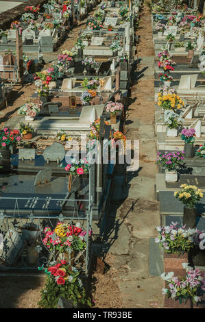 Friedhof mit Krypten und Marmor Gräber mit Blumen dekoriert in Guarda. Das gut erhaltene mittelalterliche Stadt in der östlichen Portugal. Stockfoto