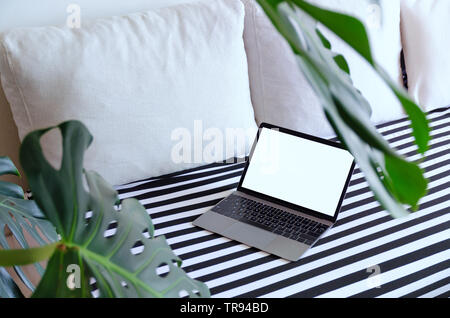 Laptop auf der Couch öffnen, um die grünen Pflanzen. Modernen komfortablen Arbeitsplatz, Abstand arbeiten. Leeren Platz für Text, kopieren. Stockfoto