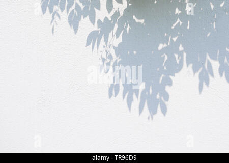 Schwarz und Weiß abstrakt Hintergrund textuer der Schatten Lamelle auf einer Betonwand Stockfoto