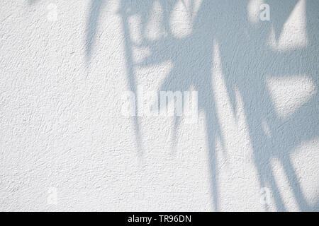 Schwarz und Weiß abstrakt Hintergrund textuer der Schatten Lamelle auf einer Betonwand Stockfoto