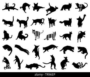 Schwarze Silhouette von Katzen auf weißem Hintergrund Stockfoto