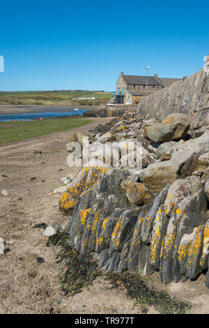 Hafen von Newport Parrog in Pembrokeshire, Wales. Newport Yacht Club jenseits der Mauer aus Stein gesehen. Newport Sands im Hintergrund. Stockfoto