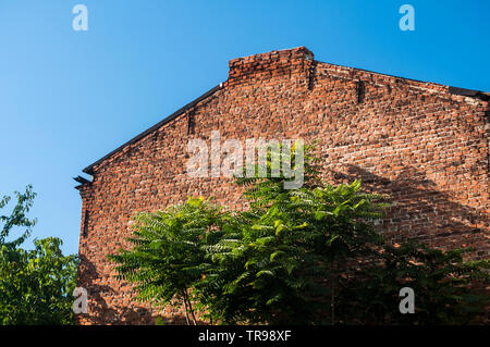 Alte vintage Town house Seite Red brick wall und Grüner Baum auf blauen Himmel Hintergrund Stockfoto