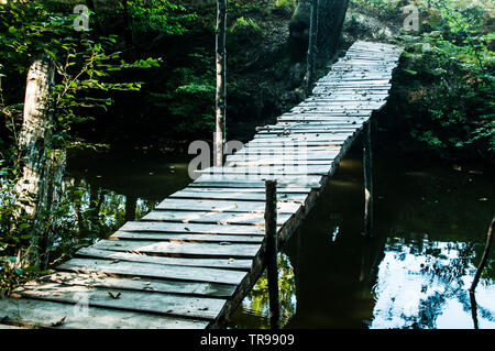 Kleine Holzbretter, Brücke über den kleinen Fluss im Herbst Woods closeup Stockfoto