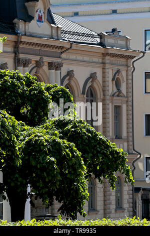 Ein Blick auf die Stadt hinter hohen green Lime Tree Branches in Park Stockfoto