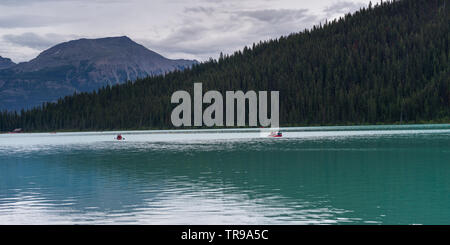 Touristen fahren in Lake Louise, Improvement District 9, Banff National Park, Jasper, Alberta, Kanada Stockfoto