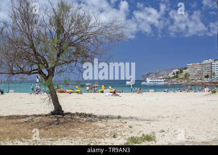 SANTA PONSA, MALLORCA, SPANIEN - 29. MAI 2019: Sandstrand an einem sonnigen Tag mit Menschen Mai 29, 2019 in Santa Ponsa, Mallorca, Spanien. Stockfoto