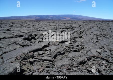 Amazing lava Felder zwischen Mauna Kea und Mauna Loa Vulkane auf der grossen Insel von Hawaii, ohne Leben außer einigen seltenen Fällen Stockfoto