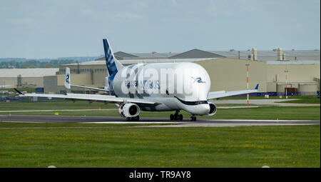 Airbus A 330-743 L Beluga XL2, F-Wbxs unten Start- und Landebahn nach der Landung am Flughafen Hawarden Stockfoto