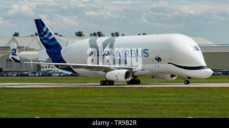 Airbus A 330-743 L Beluga XL2, F-Wbxs unten Start- und Landebahn nach der Landung am Flughafen Hawarden Stockfoto