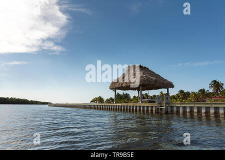 Pier am Meer, Turneffe Island, Belize Stockfoto